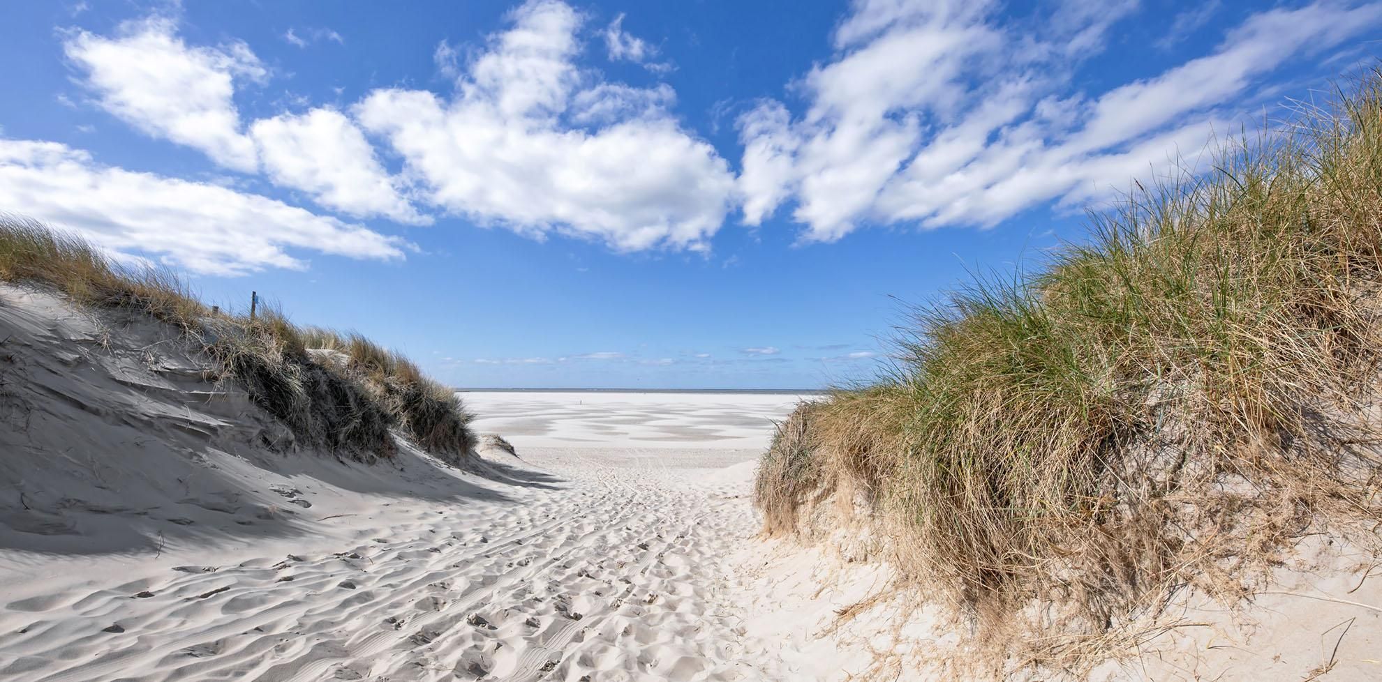 duinen-op-texel